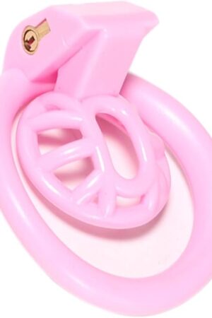 FREDORCH Super Small Penis Ring Sissy Chastity Cage,Locked in Male Chastity Device with 4 Base Ring (S-mini, Pink)