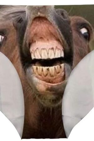 Women's Sexy Underwear Briefs Breathable Hipster Panty Comfortable Bikini Panty for Bachelorette Party Gag Gift