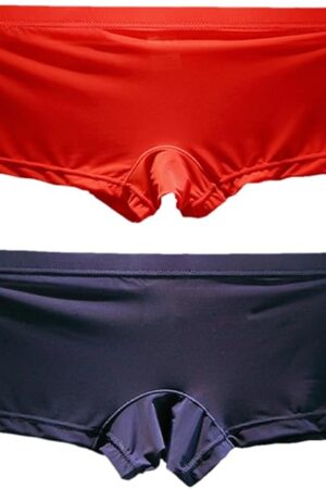 Womens Underwear 2 Pack Ice Silk Boy Shorts Soft Comfort Sexy Panties