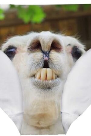 Women's Sexy Underwear Animal Fashion Bikini Briefs Pants for Bachelorette Party