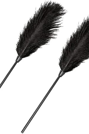 2 Pcs Feather Cleaning Dusters Soft Feather Tickler Feather Teaser Wands Valentines Day Couple Toys Couples Games for Adults