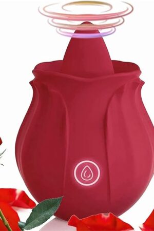 2024 Rose Viboator Stimulator Licking Sucking 10 Speed Adult Tools for Women Quiet Birthday Gift Fast Charge Waterproof Waterproof, Dual Motor-EJ353