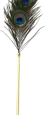 Feather Tickler, Sex Feather Tickler Teaser Sex Accessories for Adults Couples, BDSM Toys Sex Bondage Tools SM Tickler for Bedroom Play, Bondage Gear & Accessories Adult Toys for Women Men Couples