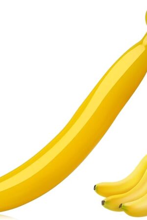 Anal Dildo Soft Anal Plug Fantasy Dildo Anal Trainer G-spot Prostate Massage Butt Plug TPE Banana Shaped Sex Toys for Men Women and Couples