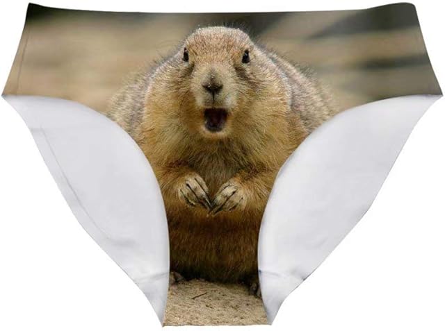 Flowers Sexy Women Fun Sexy 3D Printed Panty Briefs Underwear Hipster for Bachelor Party Gift