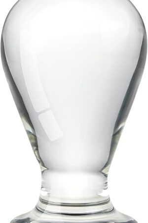FST Glass Anal Plug Crystal Dildo Classic Bulb Butt Plug Expansion Anal Masturbation Vagina Massager Unisex Sex Toy Transparent from Beginner to Advanced Player (L)