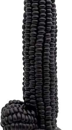 Generic Dildo Huge Flesh Realistic Dildo Strong Suction Cup Dildos Realistic Penis for G-Spot Stimulation Dildos Soft Liquid Silicone Anal Adult Sex Toys for Men and Women Pleasure(Black)