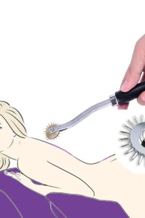 Erotic Stainless Steel Pinwheel BDSM Sex Roller Nipple Breast Spikes Fetish Tongue Stimulator Adult Roleplay Games Sex Toys