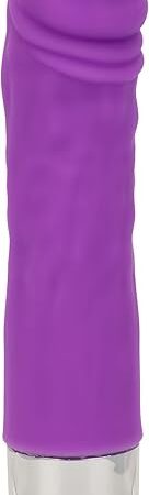 CalExotics Shane?s World Silicone Buddy Vibrator - Waterproof Sex Toys for Couples ? Adult Multi Speed Vibe Massager - Purple