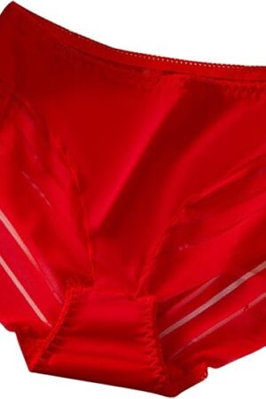 Invisible High Waisted Tummy Control Stripe Lace Underwear - Plus Size Panties for Women - Full Coverage Panties