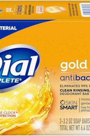 Dial Gold Antibacterial Deodorant Soap, 2 Pack, Total Net Wt 64 oz