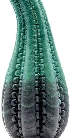 Dakken Tentacle Suction Cup Dildo, Egyptian Green/Black Design, Handmade in The USA, Adult Sex Toys (Standard)