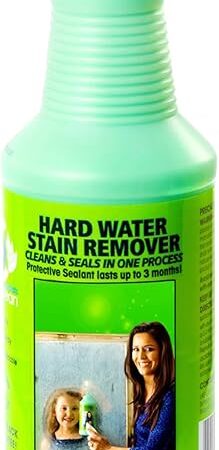 Bioclean Hard Water Stain Remover 203 oz