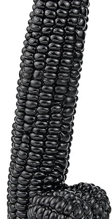 G-spot Massage Dildo, 8.26 inch Novelties Vegetable Penis, Big Realistic Cock with Suction Cup and Big Bumps, Fetish Adult Sex Toy for G-spot P-spot Stimulation (Black)