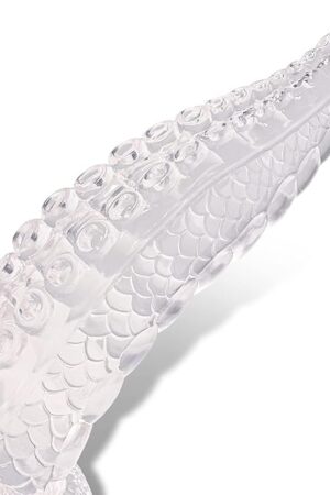 Fantasy Realistic Dildo for Hand-Free Play, Tentacle Dildos with Strong Suction Cup, Amazing Dragon Dildo Adult Toys for Women G-spot Masturbation and Male Prostate Play Clean