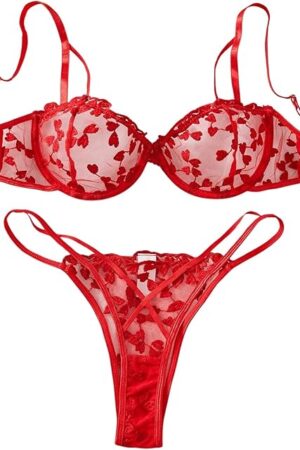 Women's Sexy Lingerie Set Mesh Sheer Cutout Push Up Heart Embroidered See Through Bra and Panty 2 Piece