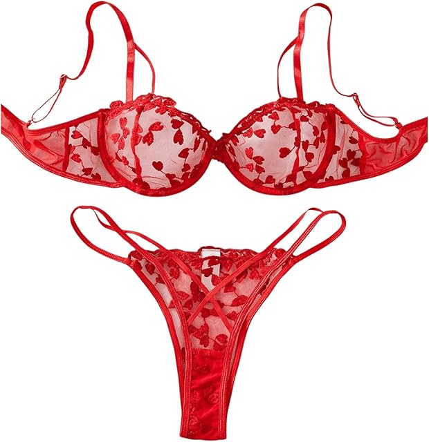 Women's Sexy Lingerie Set Mesh Sheer Cutout Push Up Heart Embroidered See Through Bra and Panty 2 Piece