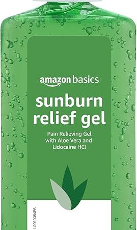 Amazon Basics Sunburn Relief Gel with Aloe Vera, 8 oz (Pack of 1) (Previously Solimo)