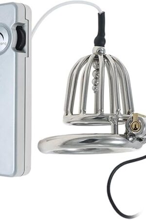 Electric Shock Hollow Chastity Lock Chastity Device Men's Anal Plug Set Adult Sex Toy