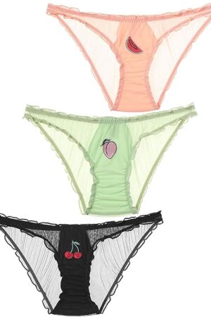 Womens Briefs 3PCS Transparent New Embroidery Mesh Sexy Womens Panties Seamless Sexy No Trace Underwear Panties