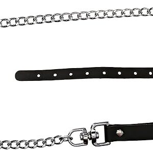 Buckling Cock Ring and Chain Leash Set