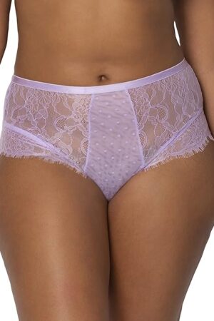 Women's Lace High-Waisted Cheeky Panty