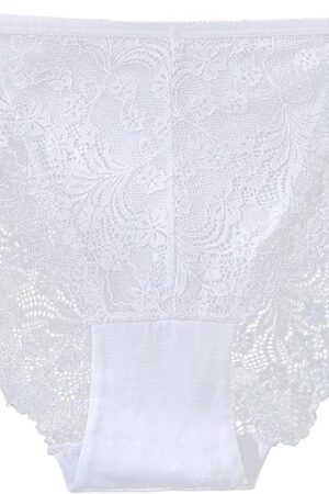 Womens Underwear Sexy Lace Mid Rise High Cut Seamless Panties Cheeky Breathable No Show Brief Stretch Hipster Gifts