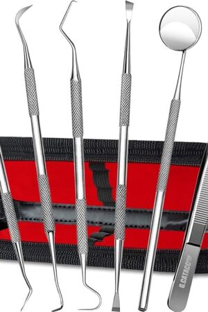 GCATACC Dental Tools, Dental Pick Teeth Cleaning Tools Hygiene Kit, Plaque Remover for Teeth, Professional Stainless Steel Tooth Scraper Plaque Tartar Cleaner - with Case