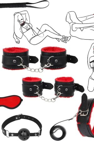 BDSM Bondage Kit Sex Toys 8 Pcs Sex Bondage Set for Beginners Ball Gag Bondage Rope BDSM Kit for Couples (RED, 8PCS)