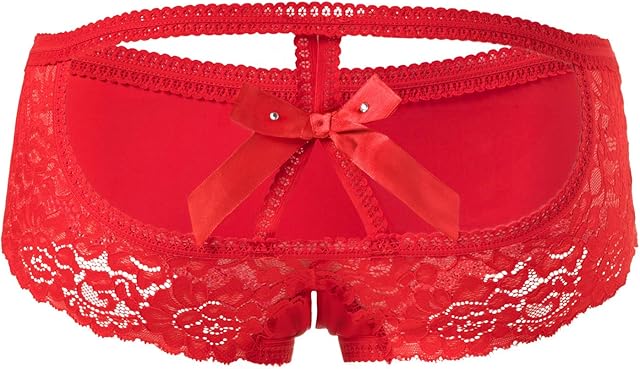 Women Sexy Panties with Mesh See-Through Bowknot Briefs Stretch Midnight Underwear