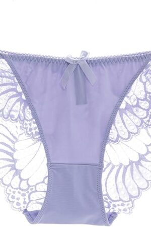 KELITCH Women's Lingerie Lace Hipster Panties Sexy Seamless Underwear Plus Size Briefs for Women Lingerie Light Purple XL
