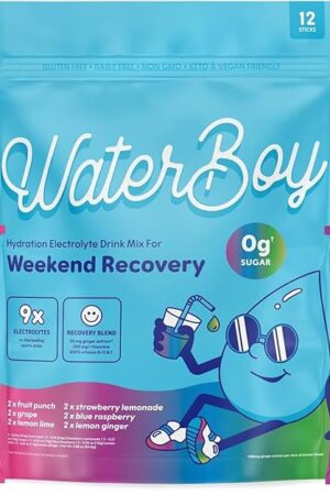 Waterboy Weekend Recovery Sample Pack | 3,200mg Electrolyte Powder Packets | Ginger + L-Theanine + Vitamins | No Sugar, All Natural, Gluten Free | 12 Drink Stick Mixes (Sample Pack)