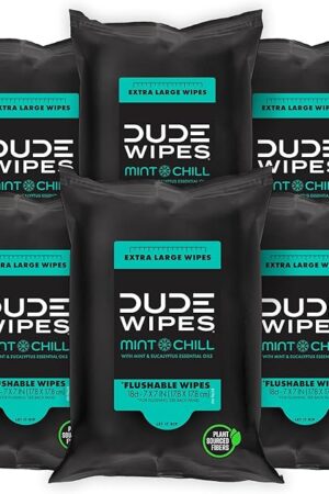 DUDE Wipes - Flushable Wipes Travel Pack - 6 Pack, 108 Wipes - Mint Chill Extra-Large Adult Wet Wipes - Vitamin-E, Aloe Vera, Eucalyptus, and Tea Tree Oils - Septic and Sewer Safe Butt Wipes