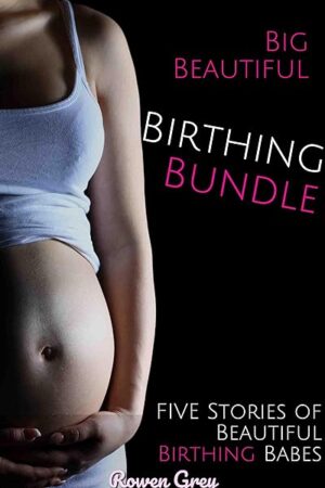 Big Beautiful Birthing Bundle: 5 Stories of Beautiful Birthing Babes