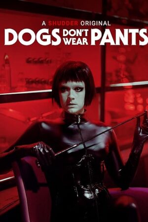 Dogs Don't Wear Pants