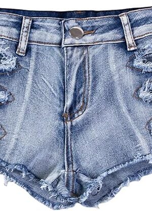 Women's Sexy Ripped Cut Off Hole Slim Casual Summer Low Rise Hot Pants Denim Short Jean (Blue,L)