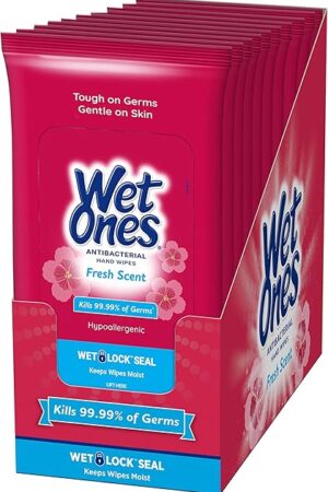 Wet Ones Travel Packs Fresh Scent 10 Packs, 200 Wipes