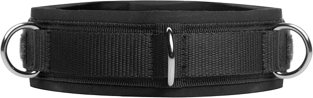 Frisky Neoprene Bondage Collar with D-Rings