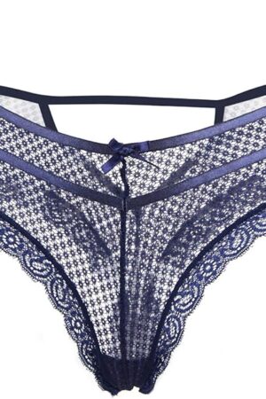 Women's Slutty Lace See Thru Panties Sexy Naughty Low Rise Underwear Lingerie Mesh Hipster Briefs