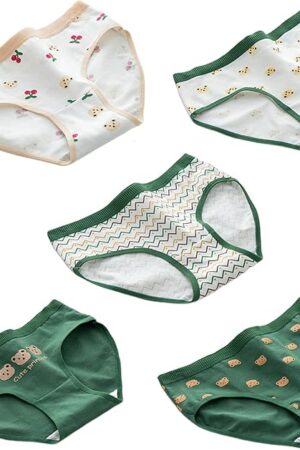 Women's Cotton Underwear Medium Waist Briefs Cosplay Anime Print Soft Breathable Japanese Lingerie Panties 5 Pack