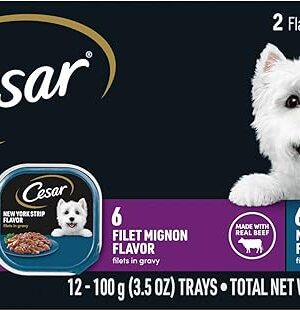 Cesar Filets in Gravy Adult Wet Dog Food, Filet Mignon and New York Strip Flavors Variety Pack, 35 oz (12 Count, Pack of 1)