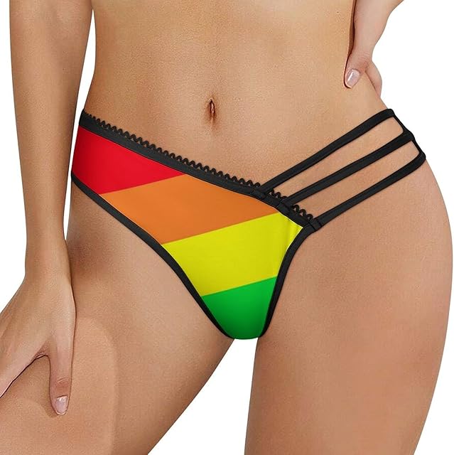 Gay Pride LGBT Rainbow Flag Pattern Womens Sexy Panties Underwear Mesh Low Waist Thongs