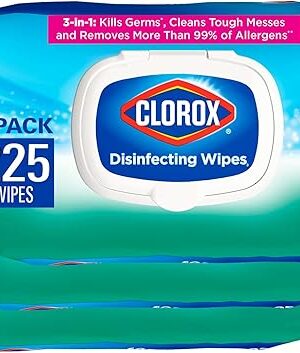 Clorox Disinfecting Wipes, Bleach Free, Household Essentials, Fresh Scent, Moisture Seal Lid, 75 Cleaning Wipes, Pack of 3 (New Packaging)