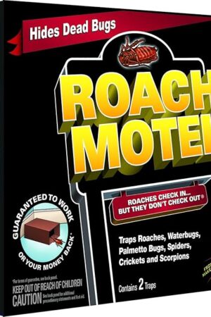 Black Flag Roach Motel Traps, 2-Count, 1-Pack
