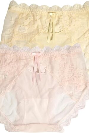 Womens Lace Panties 2 Pack No Show Panties Sexy See Through High Elasticity Plus Size