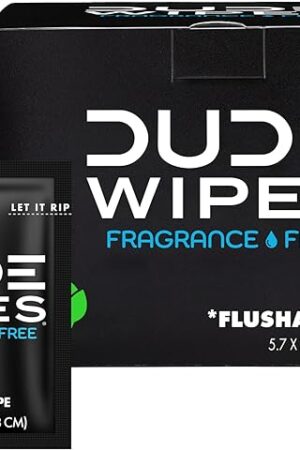 DUDE Wipes - On-The-Go Flushable Wipes - 1 Pack, 30 Wipes - Unscented Extra-Large Individually Wrapped Adult Wet Wipes - Vitamin E & Aloe - Septic and Sewer Safe