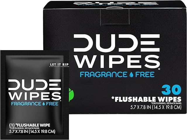 DUDE Wipes - On-The-Go Flushable Wipes - 1 Pack, 30 Wipes - Unscented Extra-Large Individually Wrapped Adult Wet Wipes - Vitamin E & Aloe - Septic and Sewer Safe