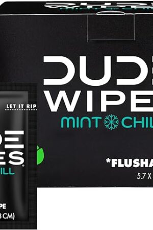 DUDE Wipes - On-The-Go Flushable Wipes - 1 Pack, 30 Wipes - Mint Chill Extra-Large Individually Wrapped Adult Wet Wipes - Eucalyptus & Tea Tree Oil - Septic and Sewer Safe