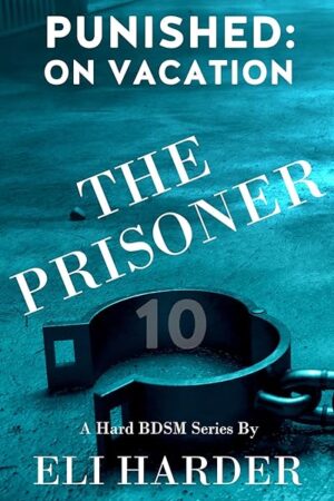 The Prisoner; Punished: On Vacation: A Hard M/M BDSM Series