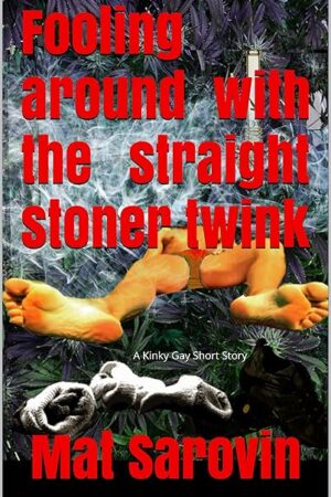 Fooling Around with the Straight Stoner Twink: Kinky Gay Short Story